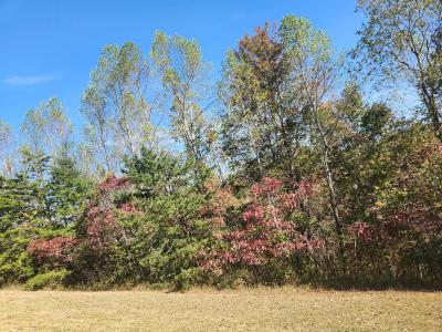 000 Kiser Fork Road, Olive Hill, Kentucky 41164, Estados Unidos