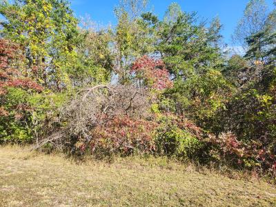 000 Kiser Fork Road, Olive Hill, Kentucky 41164, USA