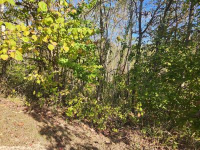 000 Kiser Fork Road, Olive Hill, Kentucky 41164, Estados Unidos