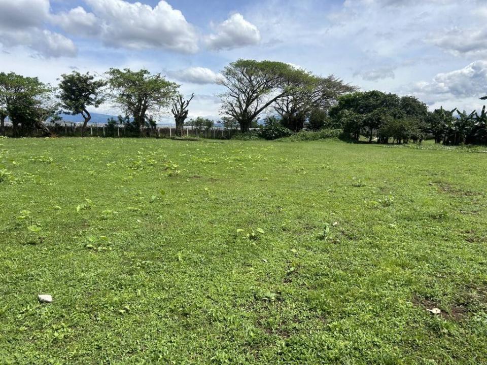 Guácima Alajuela, Alajuela 00001, 哥斯达黎加