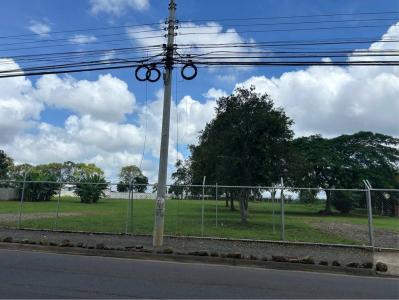 Guácima Alajuela, Alajuela 00001, 哥斯达黎加