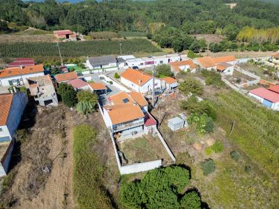Alcobaça, Leiria 2460-282, Portugal