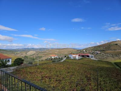 São João Da Pesqueira, Viseu 5130-051, Portugal