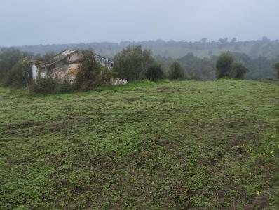 Ponte de Sor, Portalegre 7425-018, Portugal
