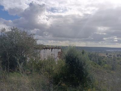 Ponte De Sor, 波塔萊格雷 7425-018, 葡萄牙
