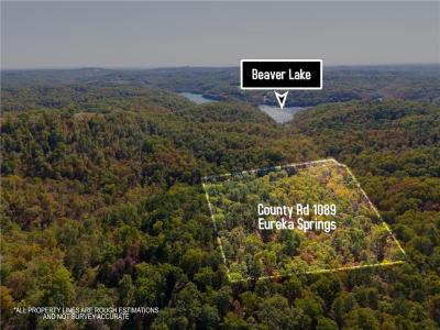 CR 1089  40 acres, Eureka Springs, Arkansas 72632, USA