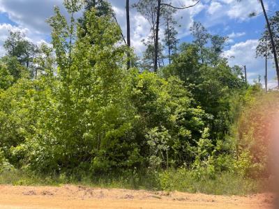 Hillside Drive`, Marianna, Florida 32448, USA