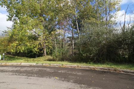 1201 Lot # 2 Domenica Drive, Endicott, New York 13760, USA