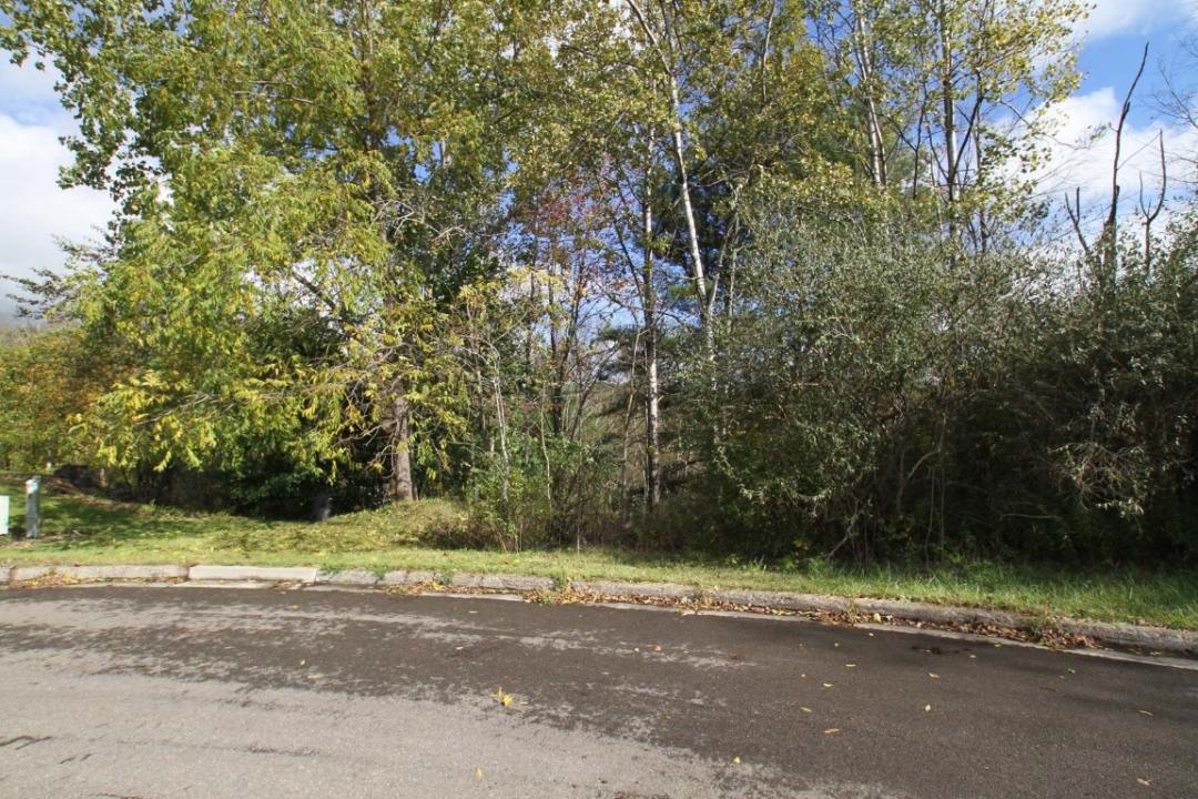 1201 Lot # 2 Domenica Drive, Endicott, New York 13760, USA