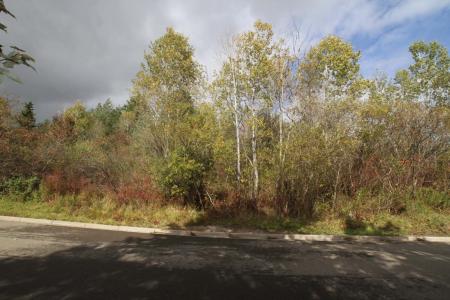 1266 lot 73 Domenica Drive, Endicott, NY 13760, USA