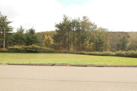 1233 Lot#10 Domenica Drive, Endicott, New York 13760, USA