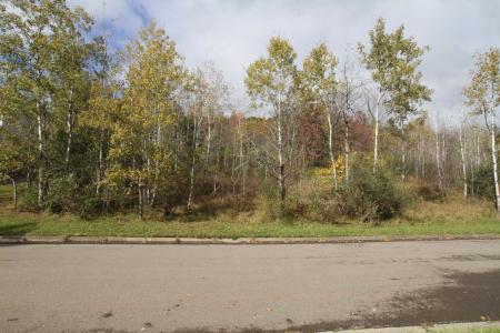 1216  lot 62 Domenica Drive, Endicott, NY 13760, USA