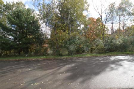 1217 Lot#6 Domenica Drive, Endicott, New York 13760, USA