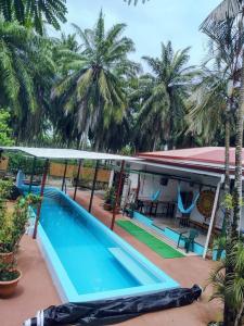 Playa Bandera , Parrita Parrita, Puntarenas 60901, Costa Rica