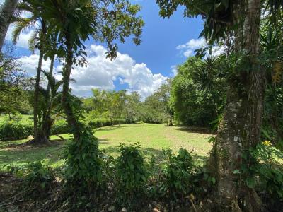 Peñas Blancas San Ramón, Alajuela 20101, Costa Rica