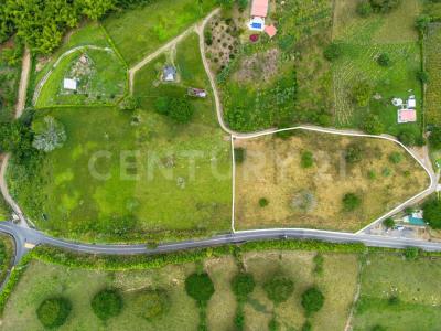 Alcala, Valle Del Cauca 00001, Colombie