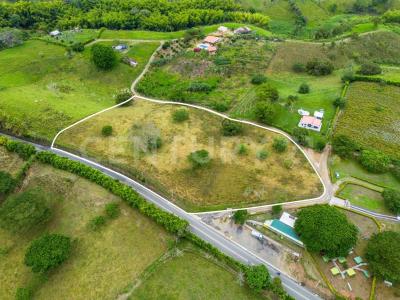 Alcala, Valle Del Cauca 00001, Colombia