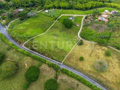 Alcala, Valle Del Cauca 00001, Colombia