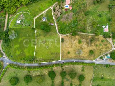 Alcala, Valle Del Cauca 00001, Colombia