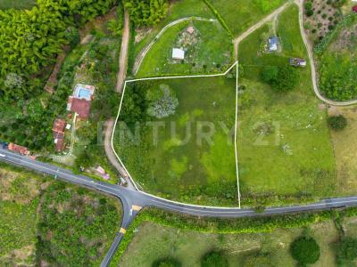 Alcala, Valle Del Cauca 00001, Colombie