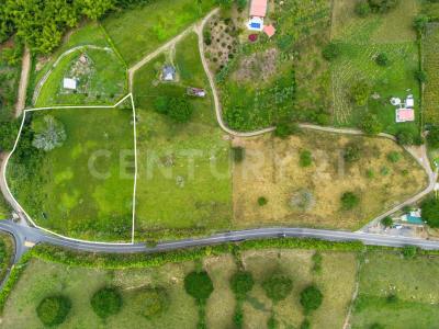 Alcala, Valle Del Cauca 00001, Colombia