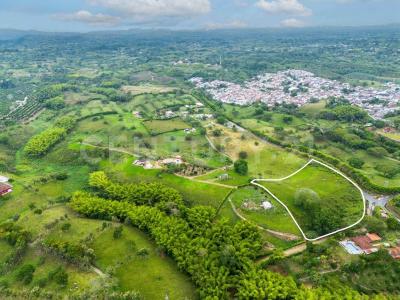 Alcala, Valle Del Cauca 00001, Colombia