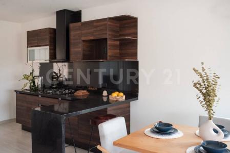 Parque Científico y Tecnológico 23 Int. Casa 10,, Xochitepec, 모렐로스 62790, 멕시코