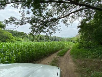 Comala, Colima 28450, Mexiko