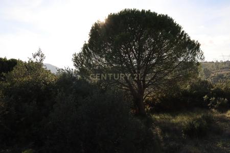 Loures, Lisbona 2670-883, Portogallo