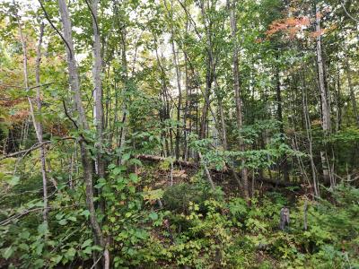 40AC OFF Noble Rd, Ontonagon, מישיגן 49953, ארצות הברית של אמריקה