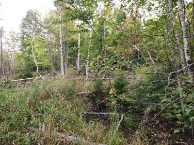 40AC OFF Noble Rd, Ontonagon, מישיגן 49953, ארצות הברית של אמריקה