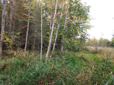 40AC OFF Noble Rd, Ontonagon, מישיגן 49953, ארצות הברית של אמריקה