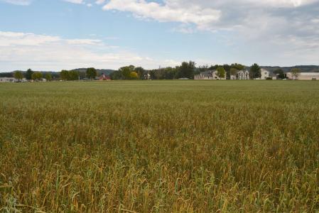 Lots 48 N Westmor Street, Spring Green, Wisconsin 53588, HOA KỲ