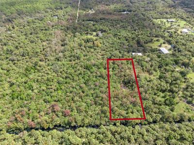 Albert Lane, Cocoa, Florida 32926, Estados Unidos