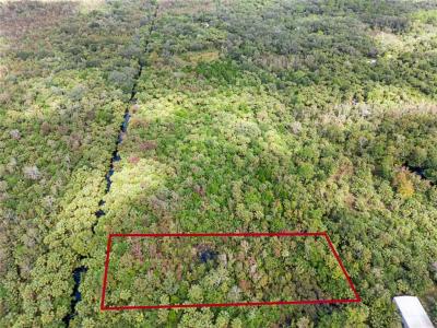 Albert Lane, Cocoa, Florida 32926, Estados Unidos