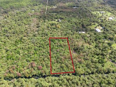 Albert Lane, Cocoa, Florida 32926, Stati Uniti