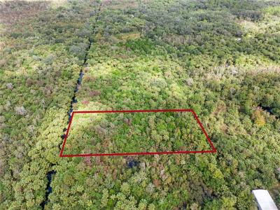 Albert Lane, Cocoa, Florida 32926, Stati Uniti