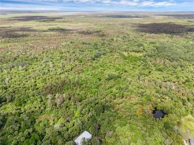 Albert Lane, Cocoa, Florida 32926, Stati Uniti