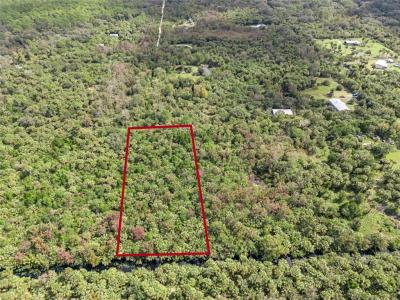 Albert Lane, Cocoa, Florida 32926, Estados Unidos