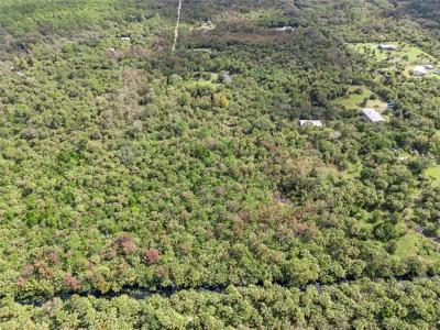 Albert Lane, Cocoa, Florida 32926, Estados Unidos