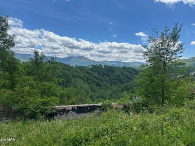 908 End Court, Gatlinburg, Tennessee 37738