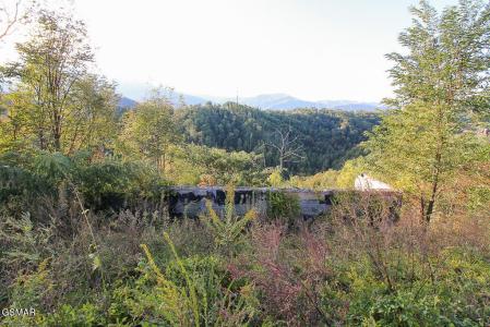 908 End Court, Gatlinburg, Tennessee 37738