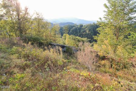 908 End Court, Gatlinburg, Tennessee 37738