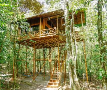 Florencia San Carlos, 阿拉胡埃拉 21002, 哥斯达黎加