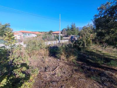 Belpasso, Sicilia 95032, Italy