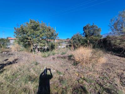 Belpasso, Sicilia 95032, Italy