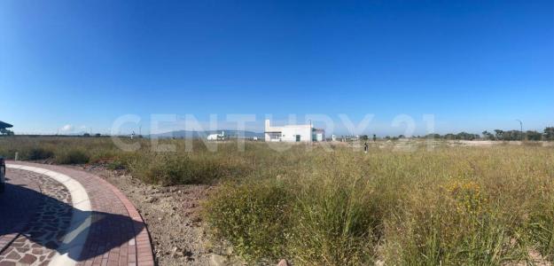 Circuito Nogal 1100 136,, Apaseo El Alto, 瓜纳华托 38517, 墨西哥