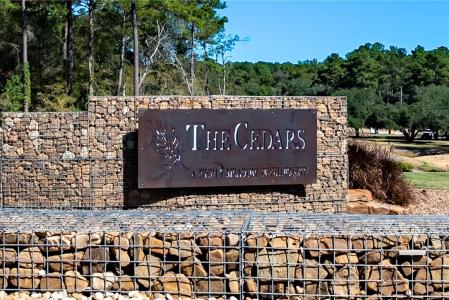 9646 Old Cedars Court, Plantersville, Texas 77363, HOA KỲ