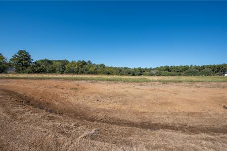 9646 Old Cedars Court, Plantersville, Texas 77363, HOA KỲ