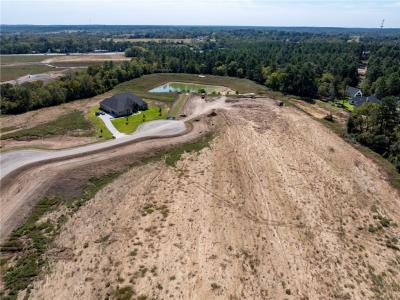 9646 Old Cedars Court, Plantersville, Texas 77363, HOA KỲ
